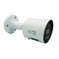 IP CAMERAS