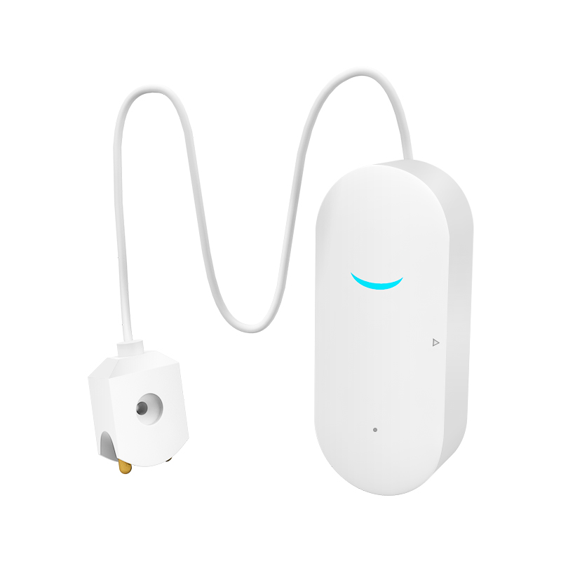 sensor 6