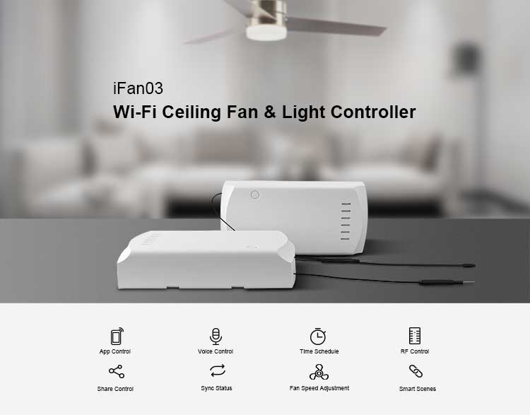 iFan03 01