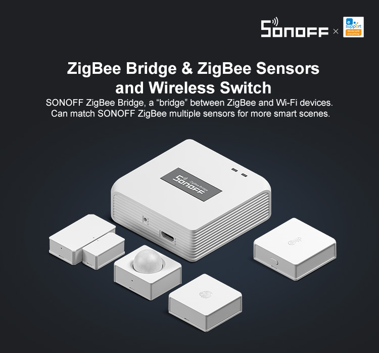 ZBBridge 01