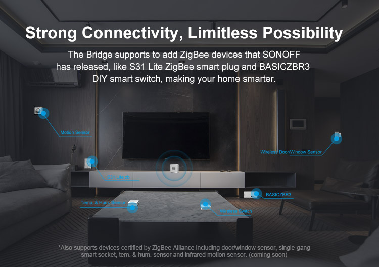 ZBBridge 04