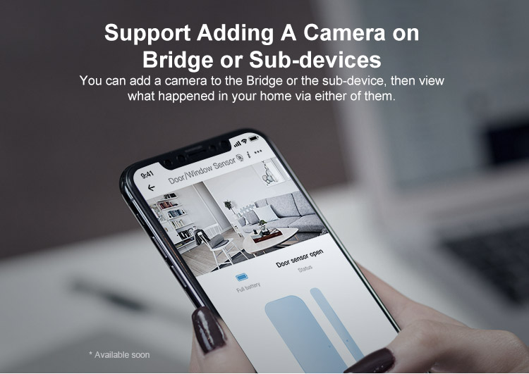 ZBBridge 13
